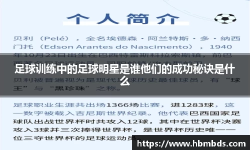 星空.综合体育官网